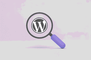 WordPress à la Loupe