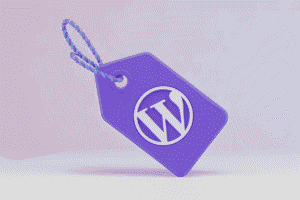 Un Budget Maîtrisé