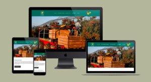 création de site internet pour verger