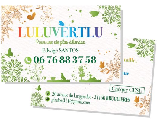Carte de visite par chère pour artisan par un graphiste à Toulouse